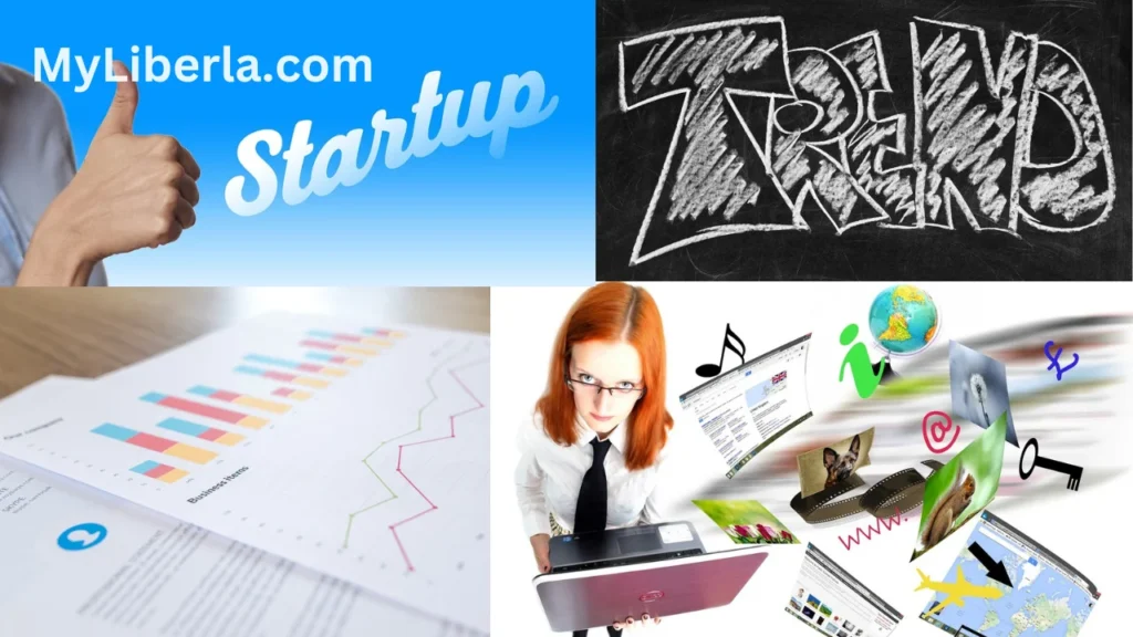 MyLiberla.com: A Comprehensive Platform for Diverse Content 2 Business Insights